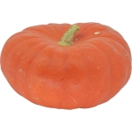 Rouge vif d Etampes